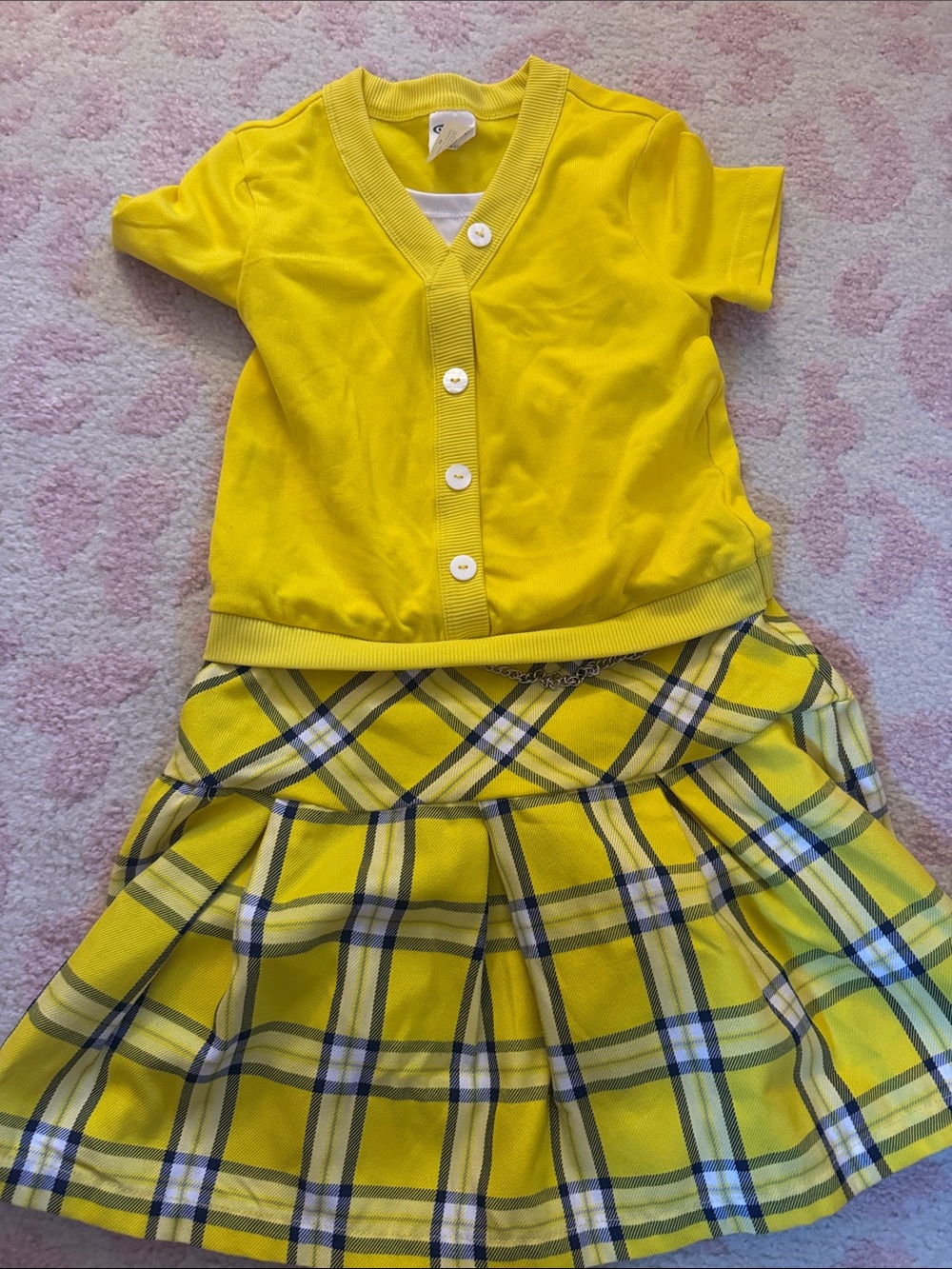 Clueless Costume